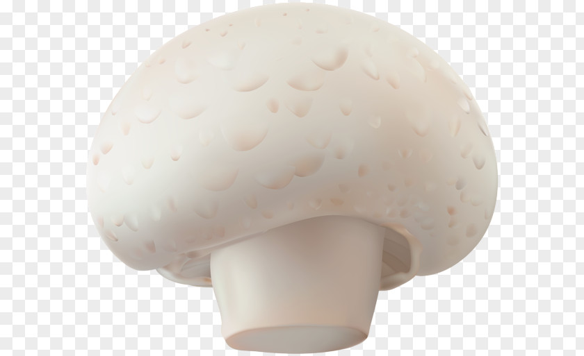 Mushrooms Common Mushroom Fungus Agaricomycetes PNG