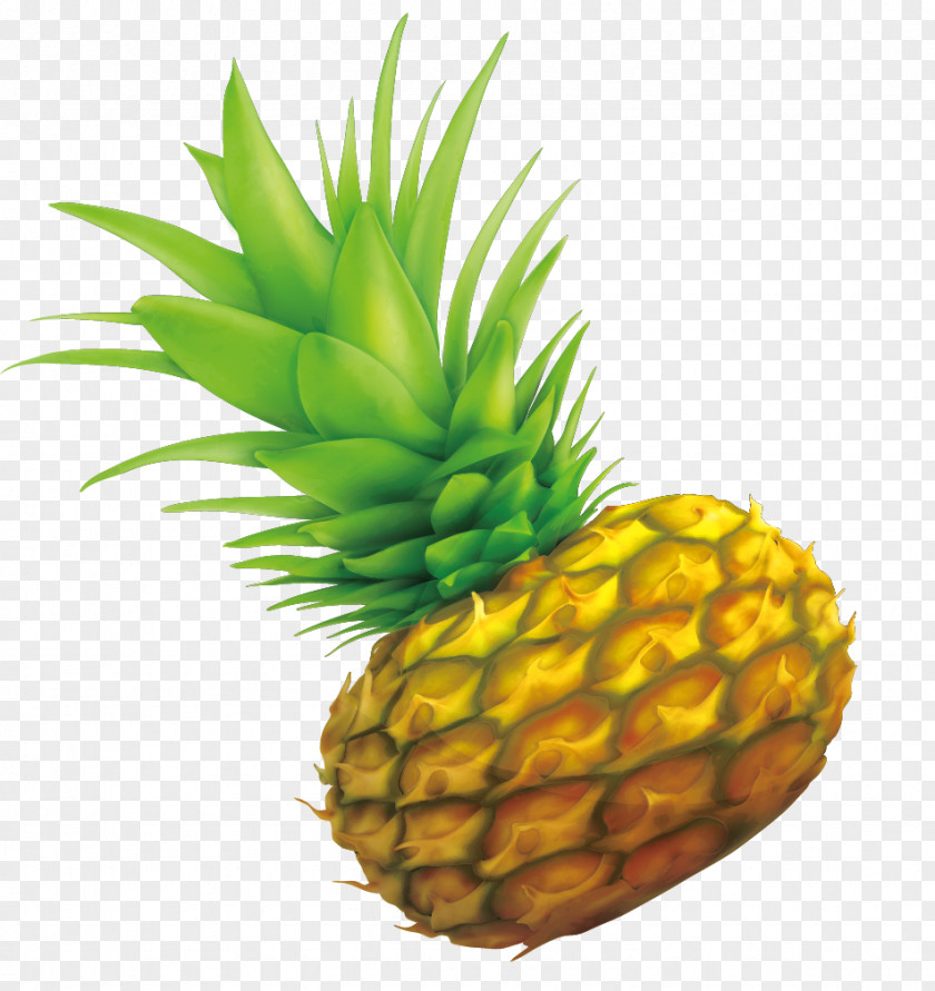 Pineapple Decorative Design Hand-painted Drawing PNG