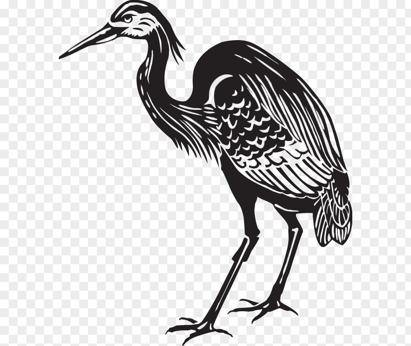 Crane Great Blue Heron Bird Clip Art PNG