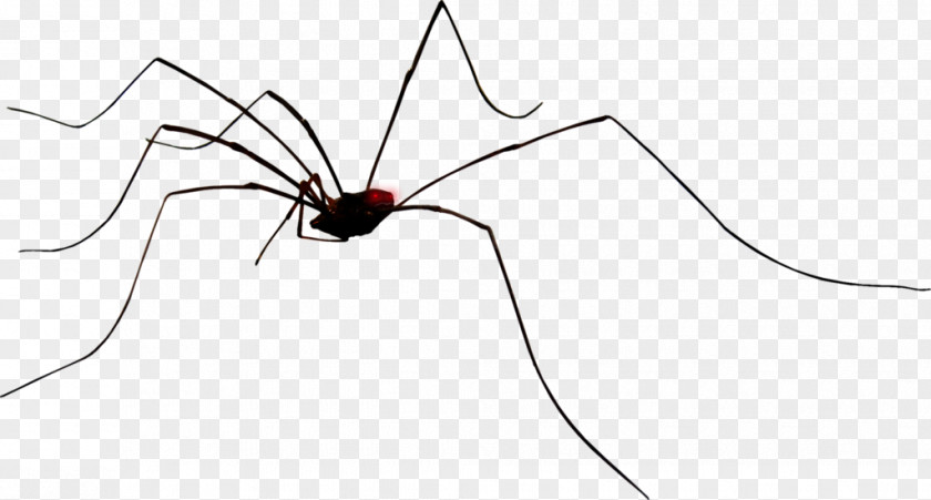 Creative Halloween Spider Line Insect Point Angle Wing PNG