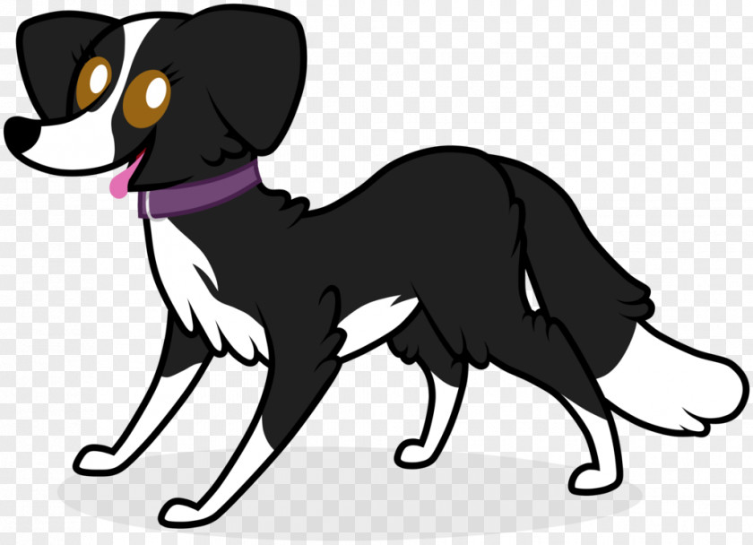 Puppy Border Collie Whiskers Dog Breed Drawing PNG