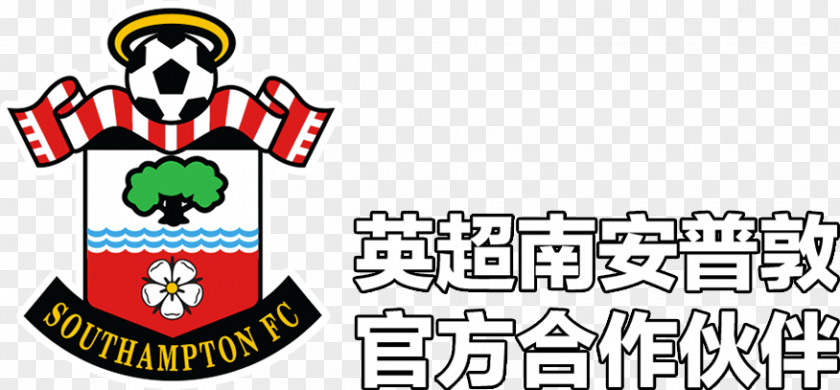 Chinese Dragon Boat Southampton F.C. Newcastle United St Mary's Stadium Manchester City PNG