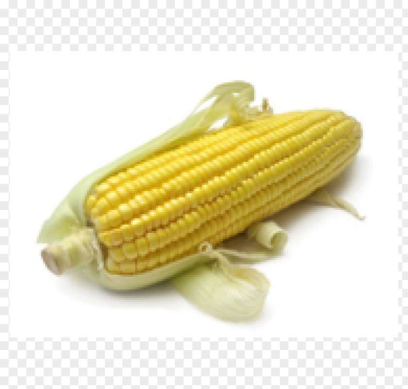 Corn Cob On The Starch Sweet Organic Food PNG