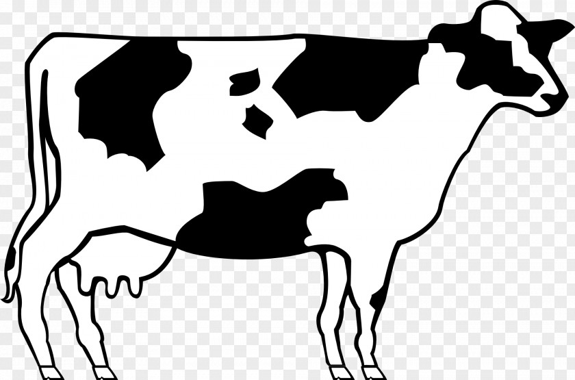 Cow Ayrshire Cattle Beef Shorthorn Clip Art PNG