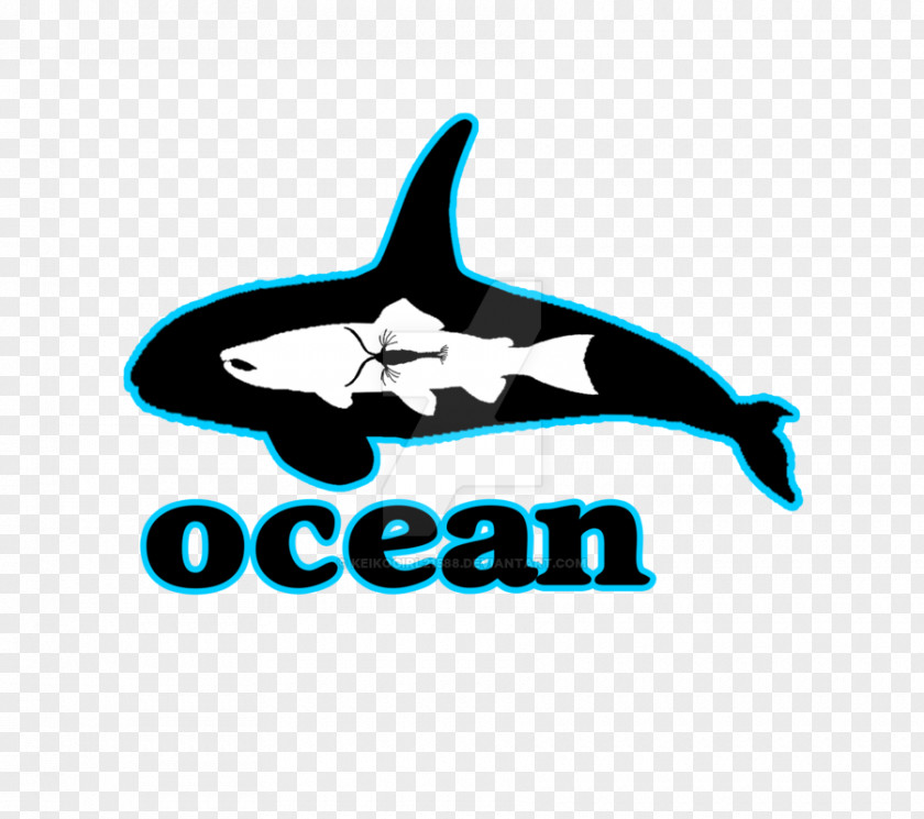 Dolphin Logo Shark Brand Font PNG