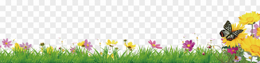 Flowers PNG clipart PNG