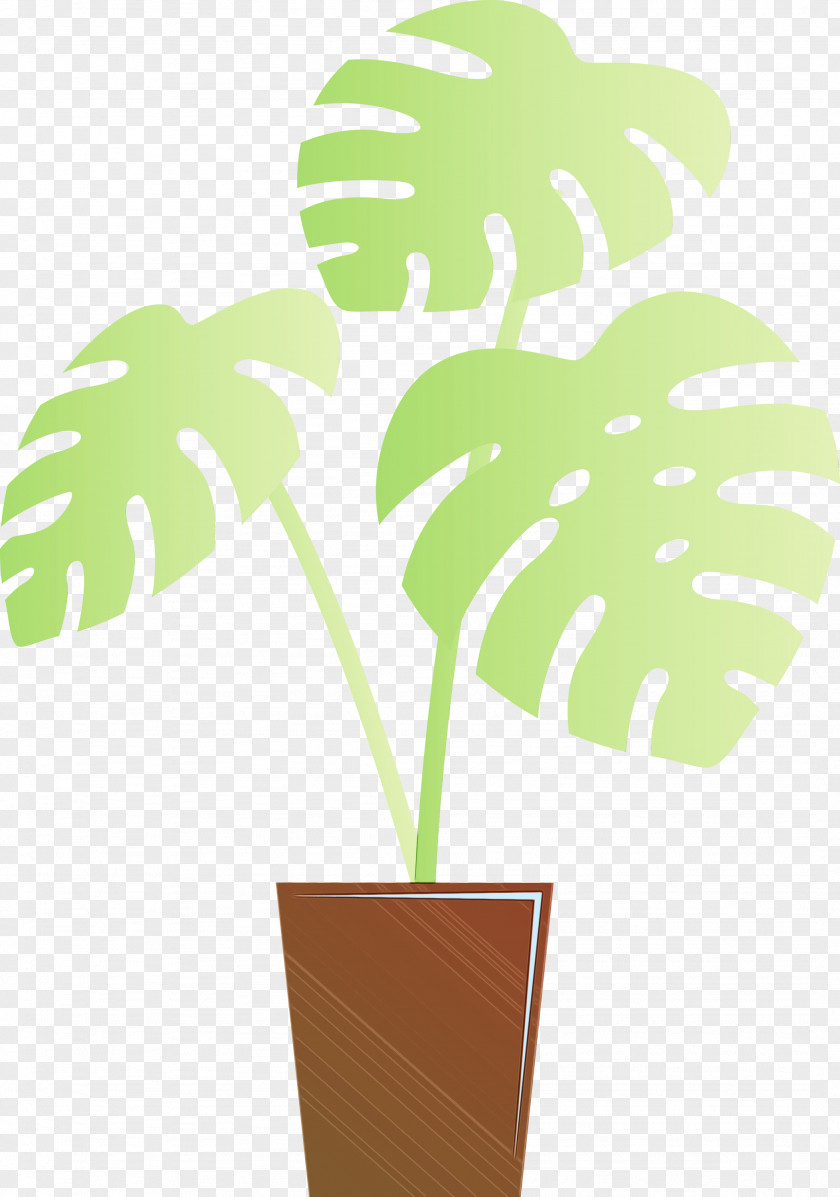 Leaf Plant Stem Tree Flowerpot Meter PNG