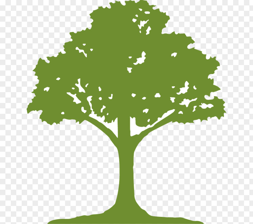 Tree Mikes Clearwater Harvesting Inc. Paper Earth Root PNG