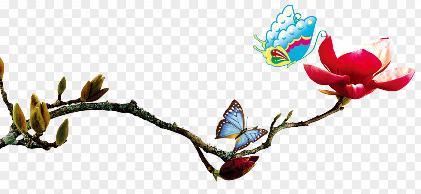 Butterfly Infant Photographer Photography Child PNG