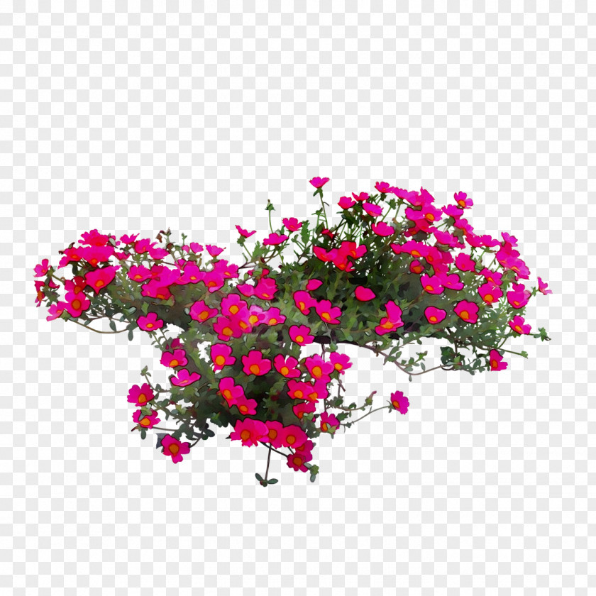 Floral Design Cut Flowers Rose Annual Plant Herbaceous PNG