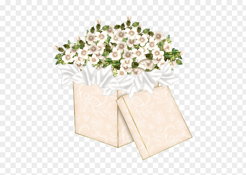 Flower Floral Design White Gift Drawing PNG