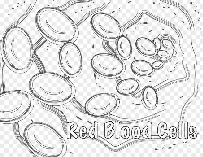 Plant Red Blood Cell Coloring Book White PNG
