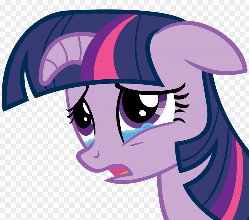 Sad Face Twilight Sparkle My Little Pony Rarity Fluttershy PNG