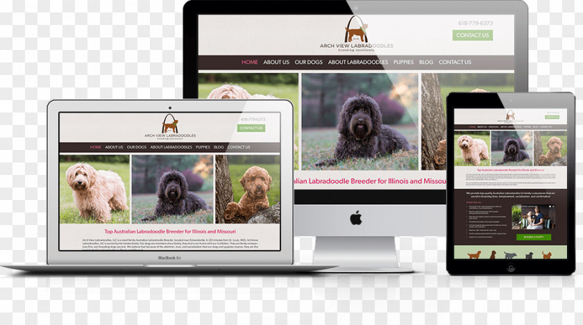 Design Web ArchView Labradoodles Southlake Classic Pet Retreat PNG