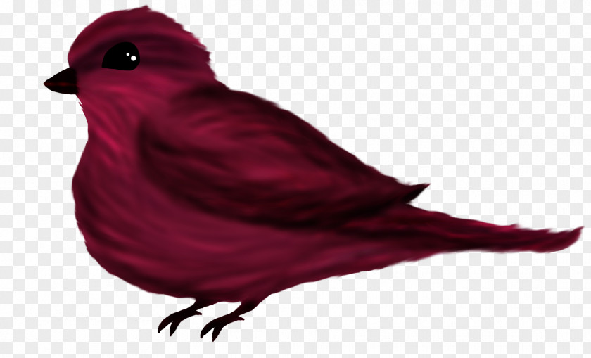 Feather Beak RED.M PNG