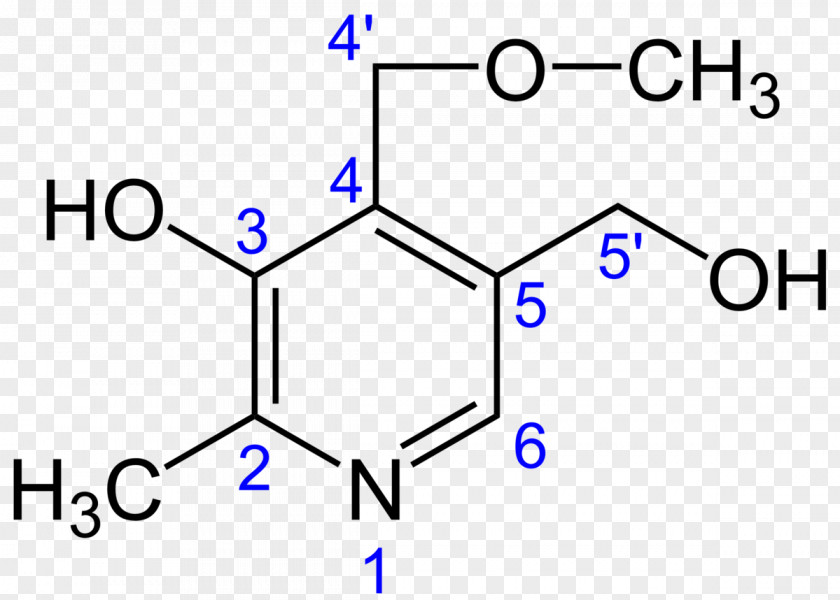 Pyridoxine Vitamin B-6 Ginkgotoxin Hydrochloride PNG