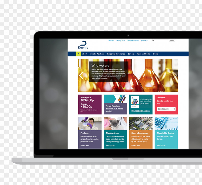 Sika Deer Display Advertising Online Digital Journalism Web Page New Media PNG