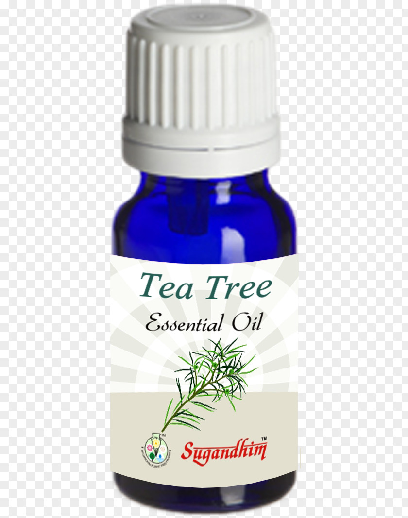 Tea Oil Distillation Lavender Essential PNG