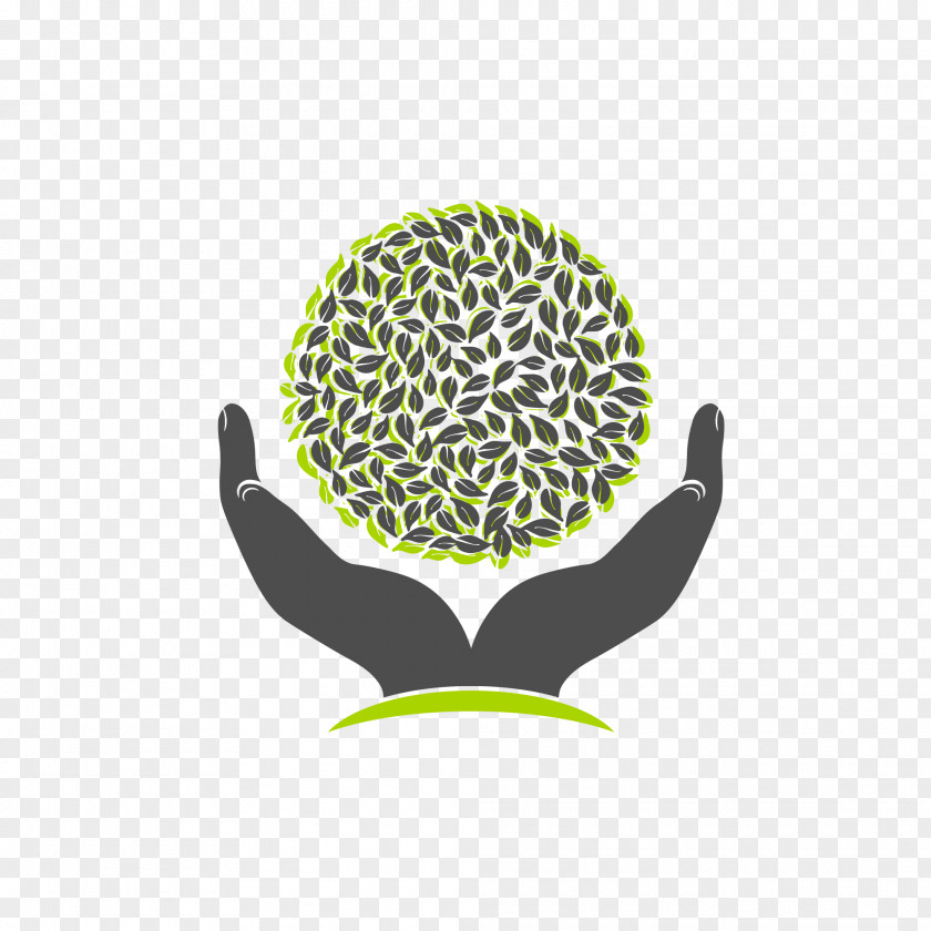 Tree Hands Logo PNG