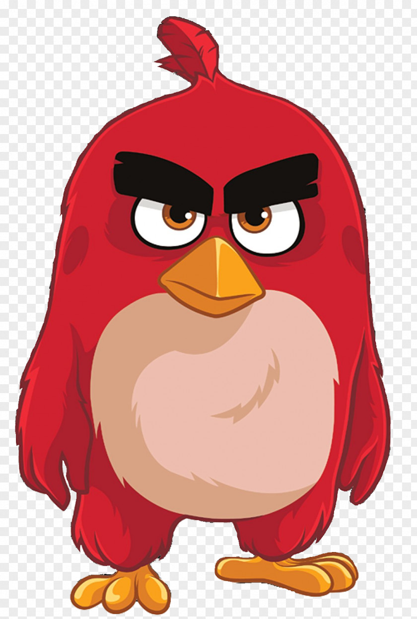 Angry Birds Seasons Space Fight! POP! PNG