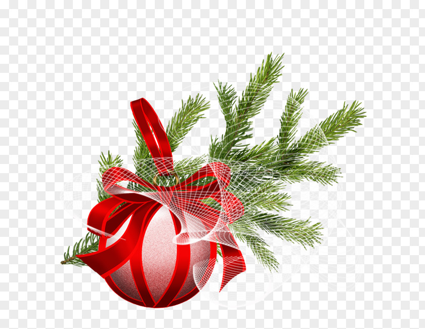 Christmas Tree New Year Ornament Spruce PNG