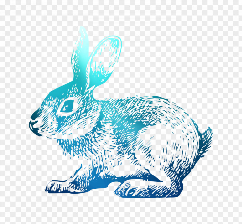 Domestic Rabbit T-shirt Easter Bunny Hoppy PNG