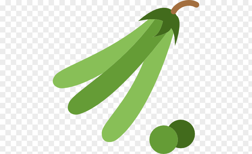 3 Cucumber Pea Icon PNG
