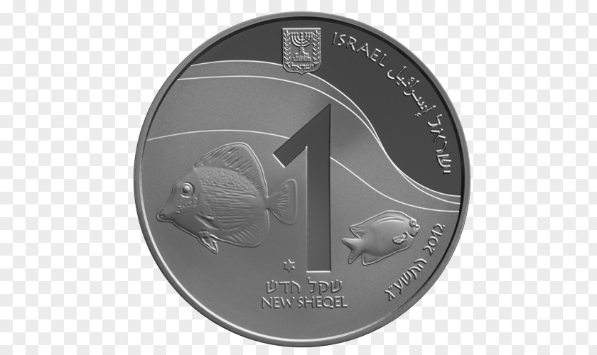 Eilat Israel Gold Coin Israeli New Shekel Silver PNG