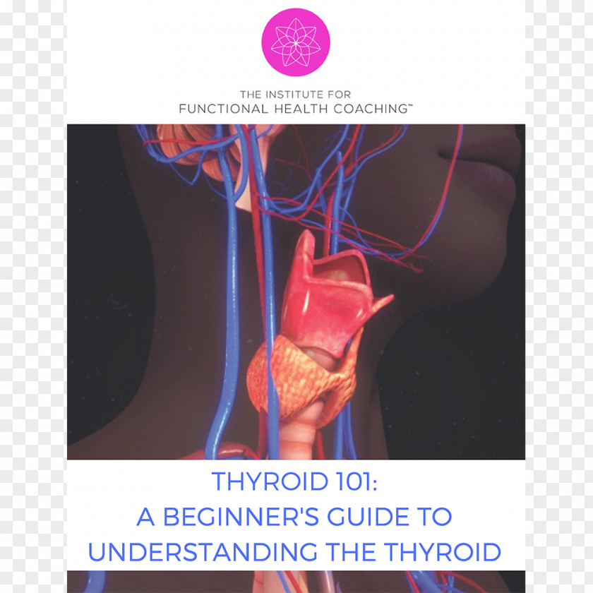 Health Thyroid Nodule Stock Photography Disease Hypothyroidism PNG