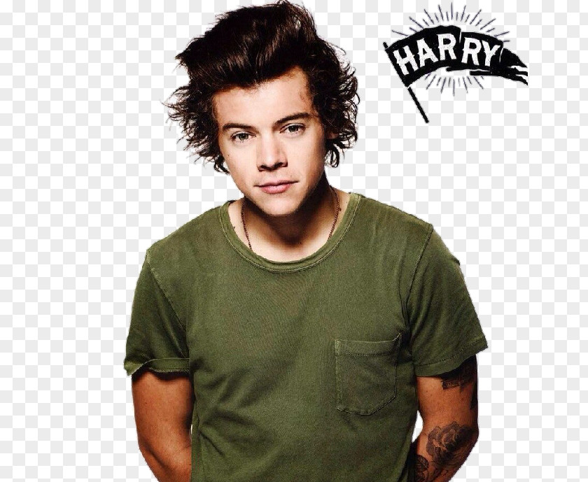 One Direction Harry Styles Four PNG