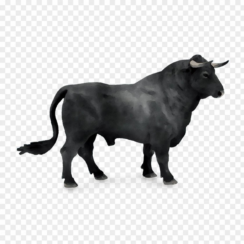 Spanish Fighting Bull Taurine Cattle Horn Symbol PNG