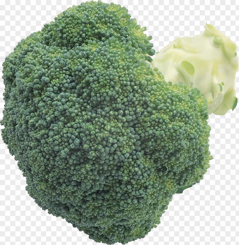 Vegetables Broccoli Clip Art PNG
