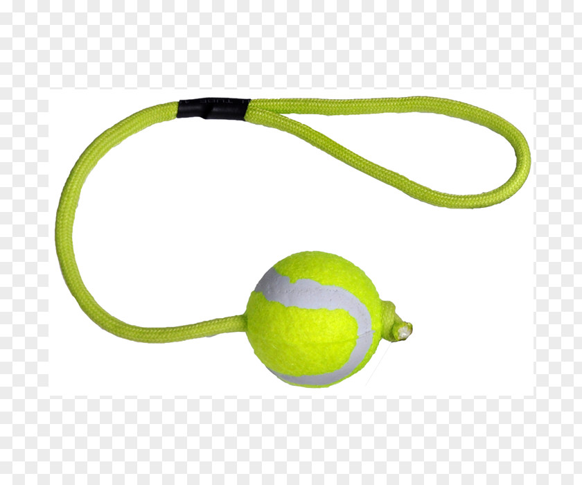 Ball Tennis Balls Cat Dog PNG