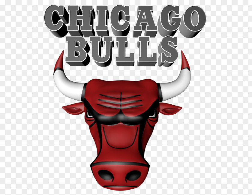 Chicago Bulls NBA 2K16 United Center Washington Wizards PNG
