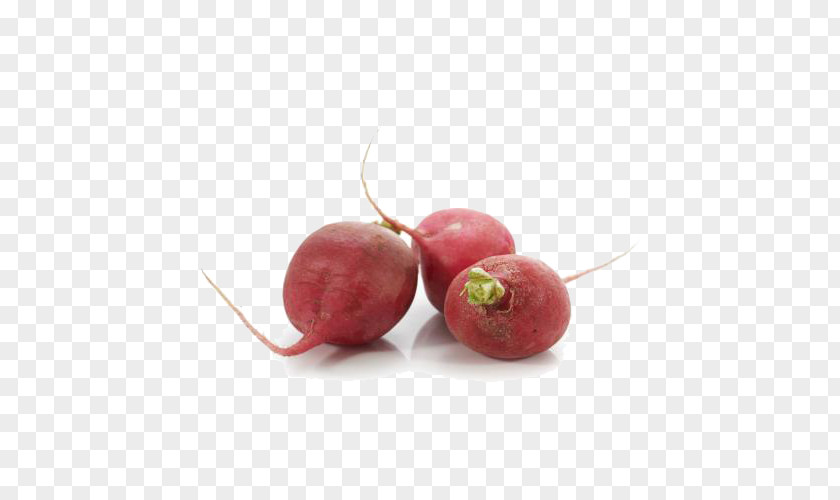 Free Image Button Carrot Radish Food PNG