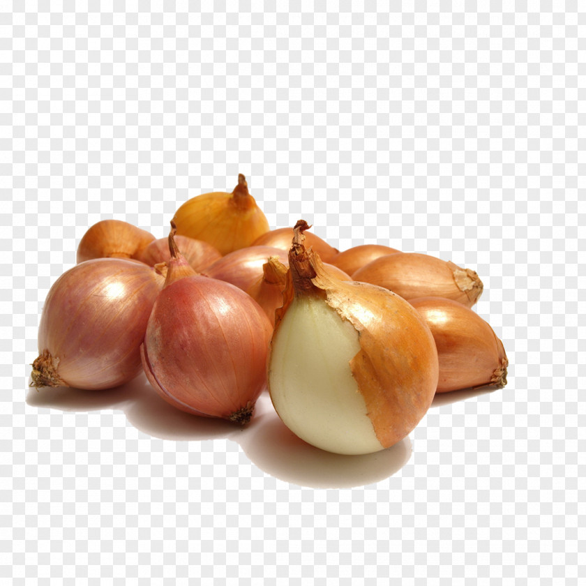 Onion Vegetable Fruit Clip Art PNG