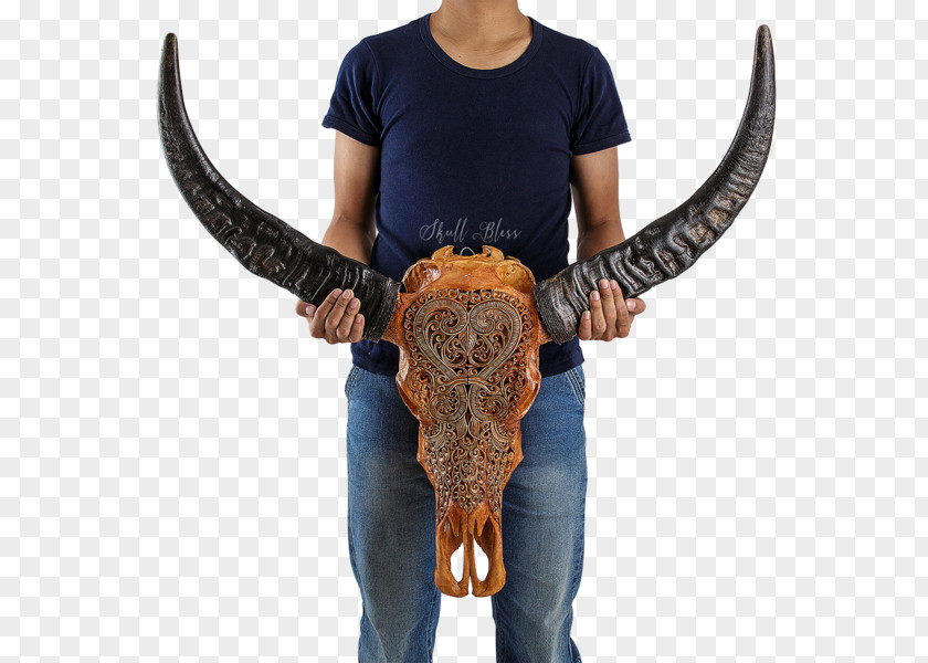 Buffalo Skull Horn Cattle SKULL MYSTIC Antler PNG