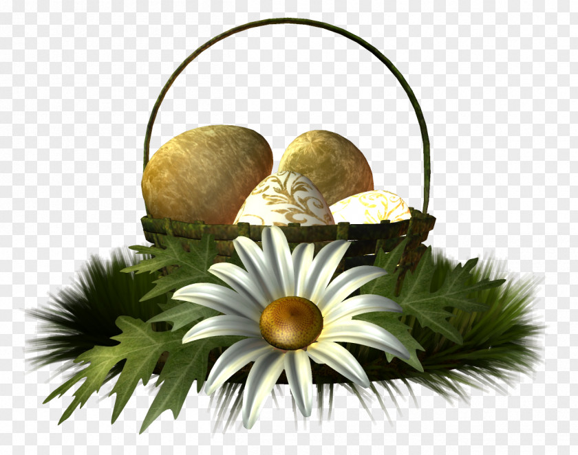 Easter Ali Baba Cut Flowers Floristry Floral Design PNG