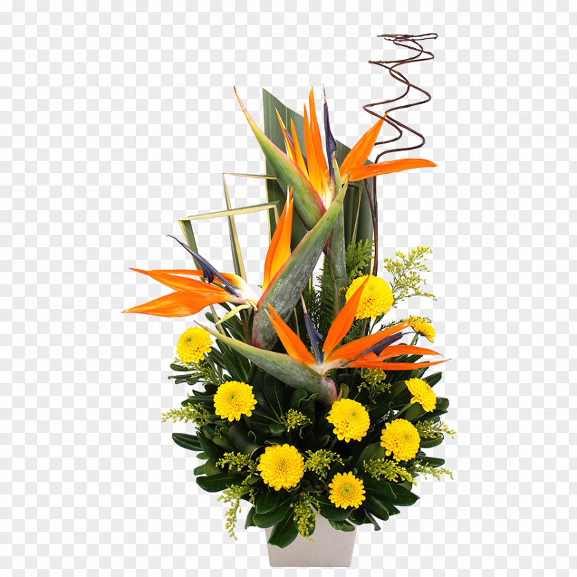 Flower Floral Design Cut Flowers Bouquet Floristry PNG