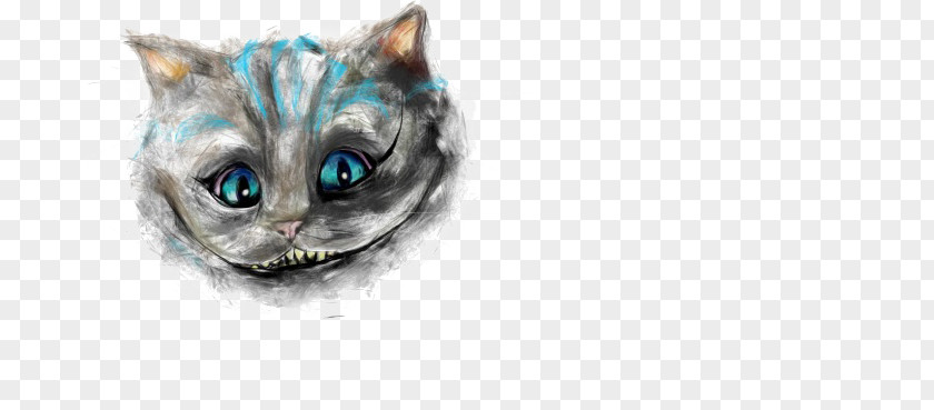 Kitten Cheshire Cat Whiskers Domestic Short-haired PNG