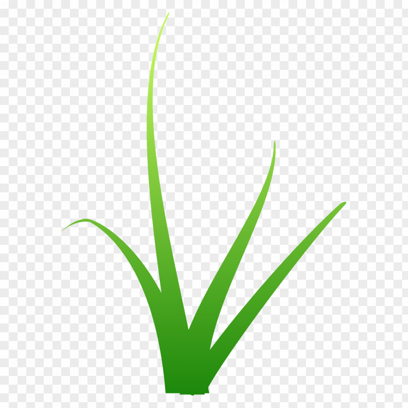 Logo Terrestrial Plant Green Leaf Grass Family PNG
