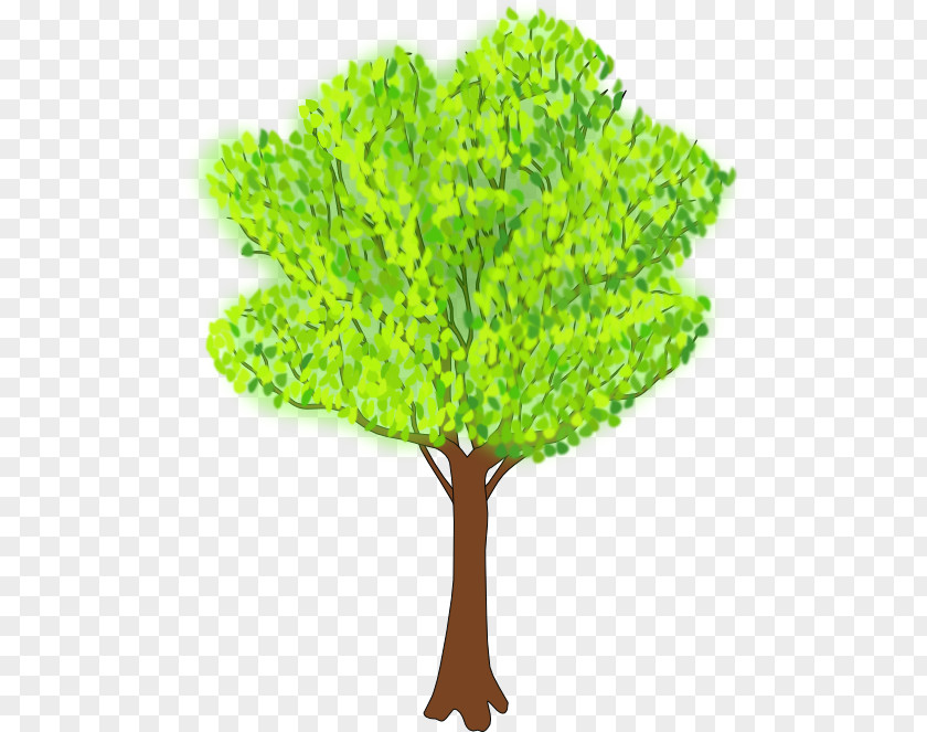 Seasonal Vector Tree Clip Art PNG