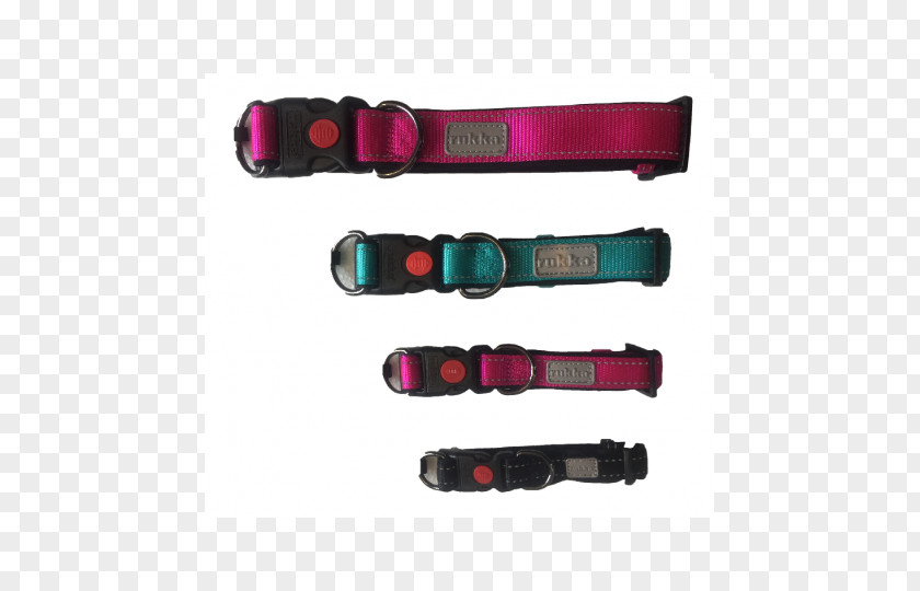 Dog Collars Collar Magenta PNG