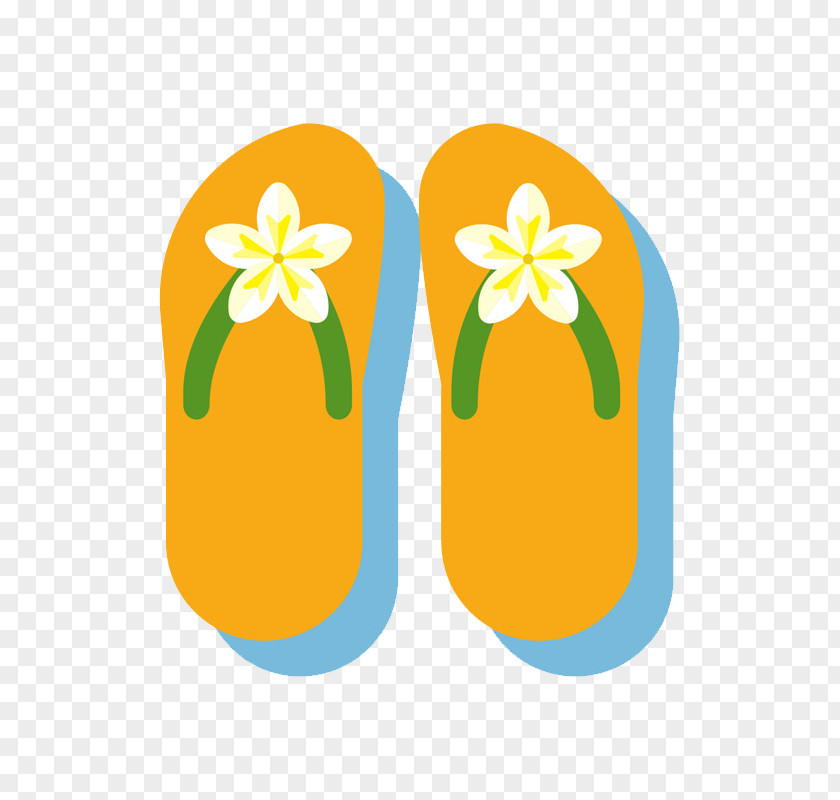 Flip Flop Slipper Image Design Flip-flops PNG