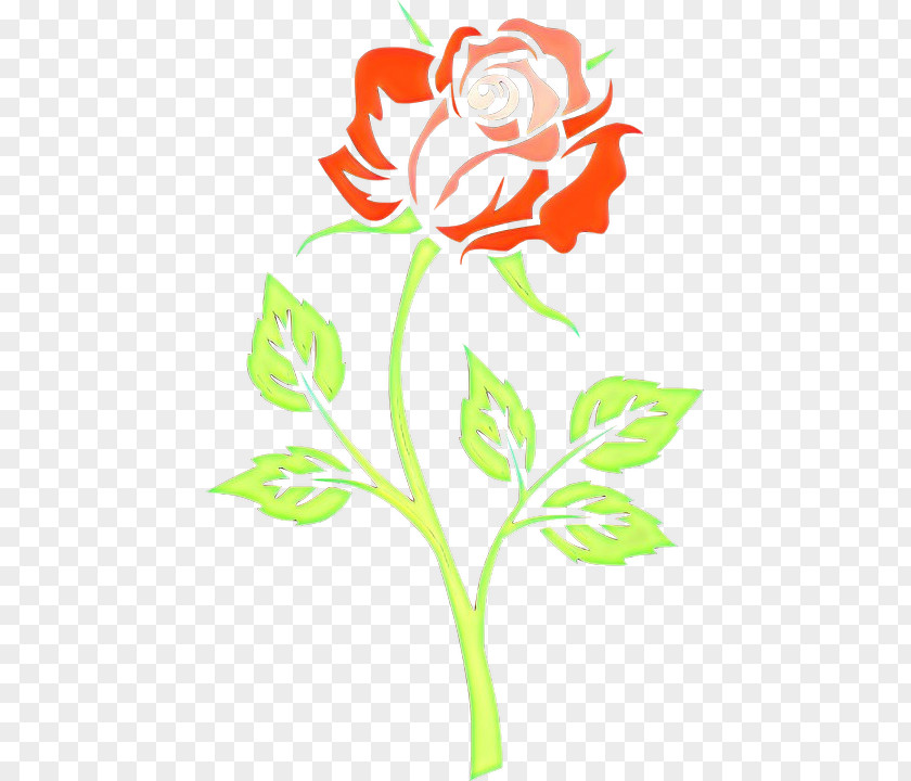 Rose Family Plant Stem PNG