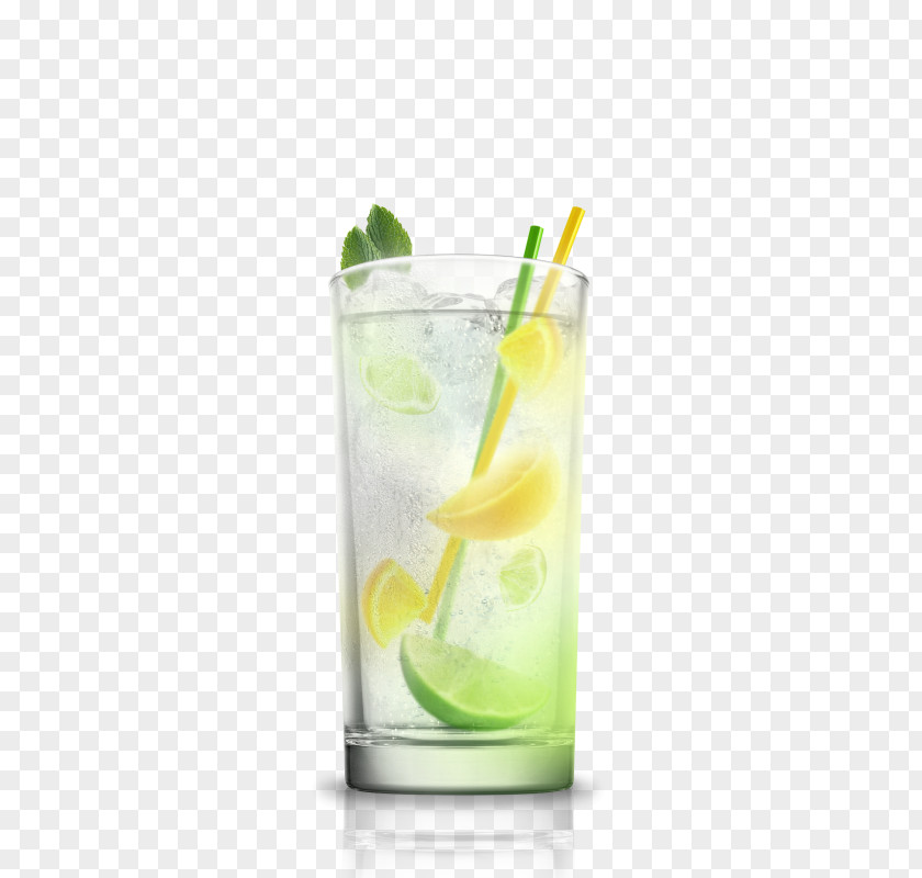 Cocktail Gin And Tonic Cosmopolitan Rickey PNG