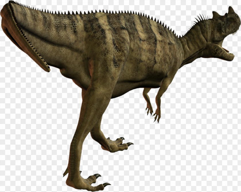 Dinosaur Tyrannosaurus Velociraptor Reptile Fauna PNG