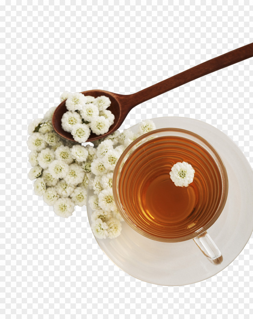 Honey Flowering Tea Chrysanthemum Green PNG