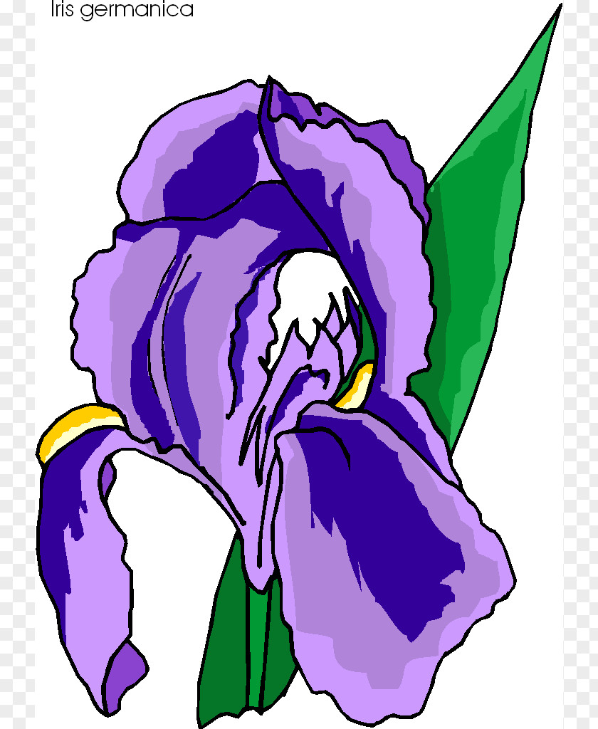 Iris Cliparts Flower Irises Clip Art PNG