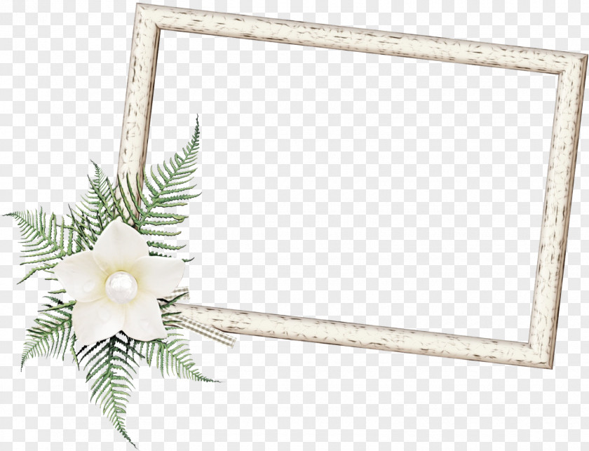 Picture Frame PNG